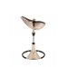 Стульчик для кормления Bloom Fresco Chrome GOLD Стульчик для кормления Bloom Fresco Chrome GOLD